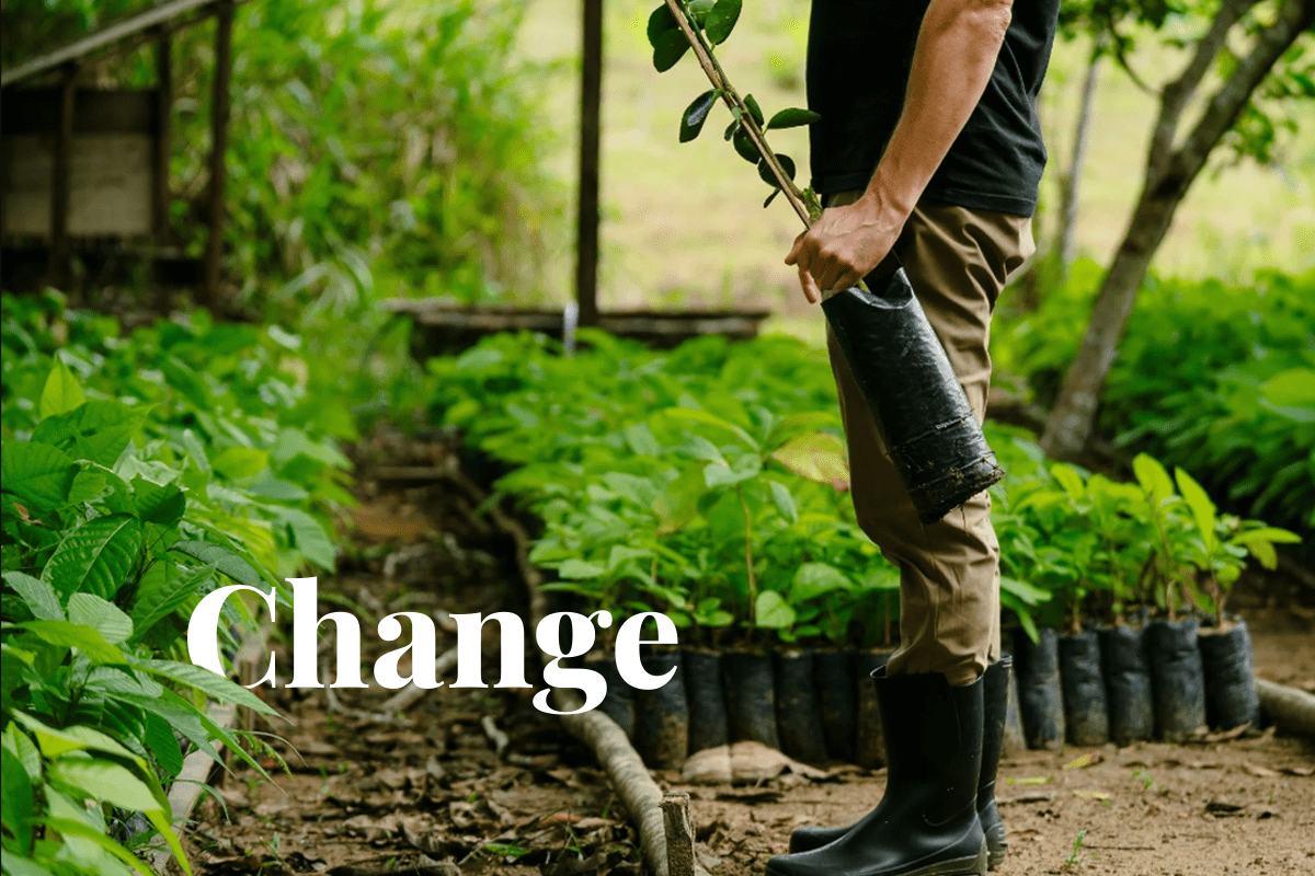 Corekees Project Amazon plants the seeds of change_Corekees regenerative agriculture project in Brazil_visual 1