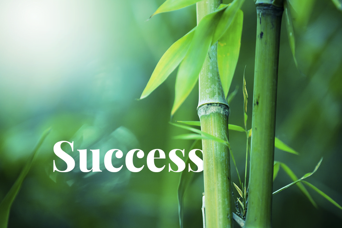 Corekees’ first-ever bamboo campaign exceeding expectations_visual 1