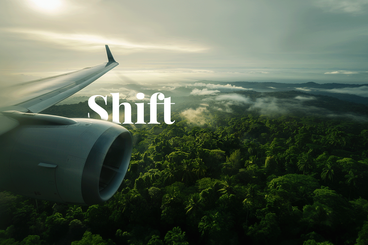 Corporate carbon credits on the horizon as SBTi signals policy shift_Aerial view of a lush forest captured from a supply plane_visual 1