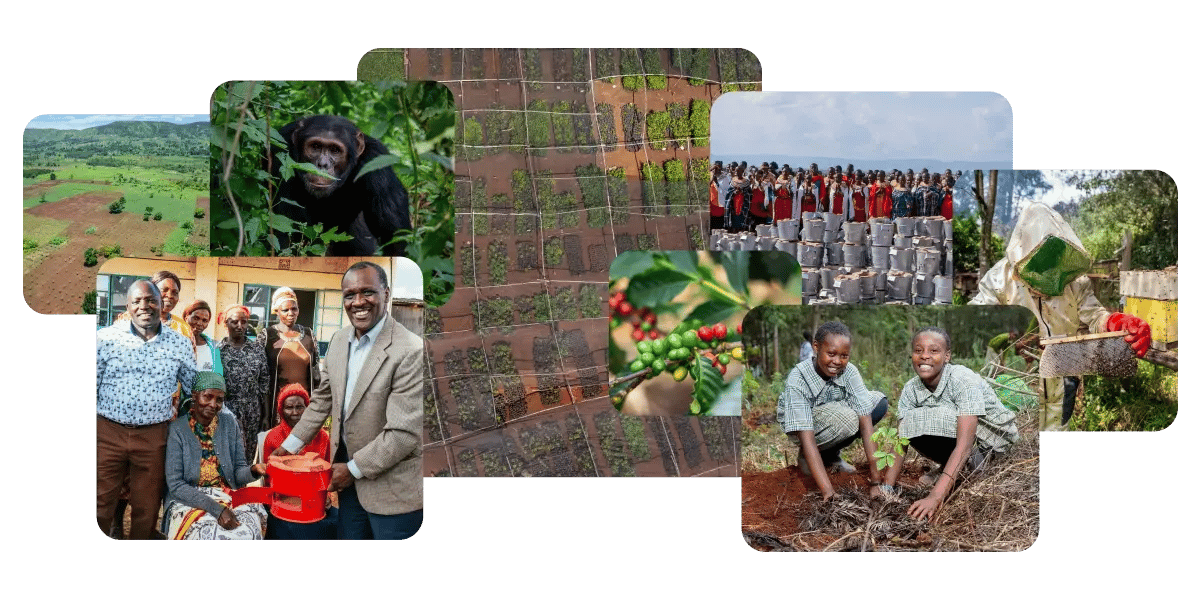 Countdown to CSRD_ Your 12-month plan for compliance and competitiveness_visual 6