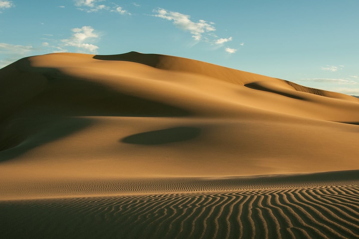 Countering desertification of the Gobi