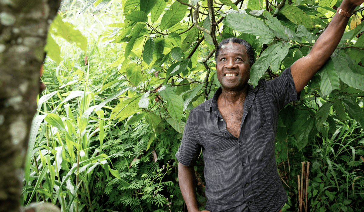 Dé Forest Restoration Project_bullet point 1-min