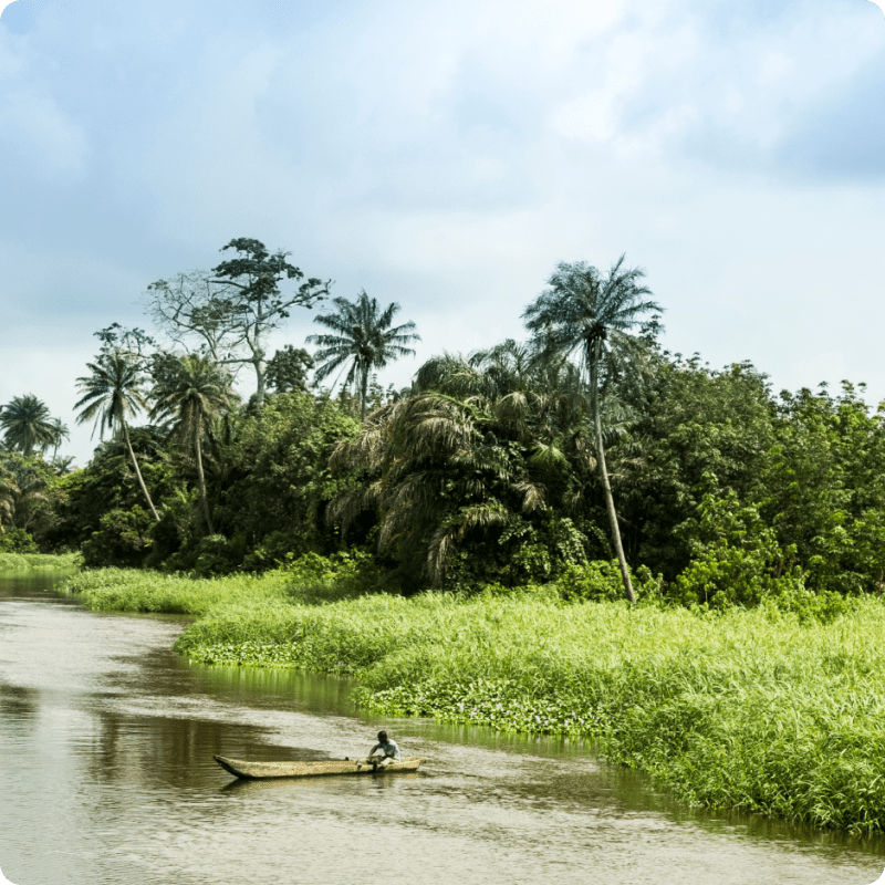 Dé Forest Restoration Project_gallery 4-min