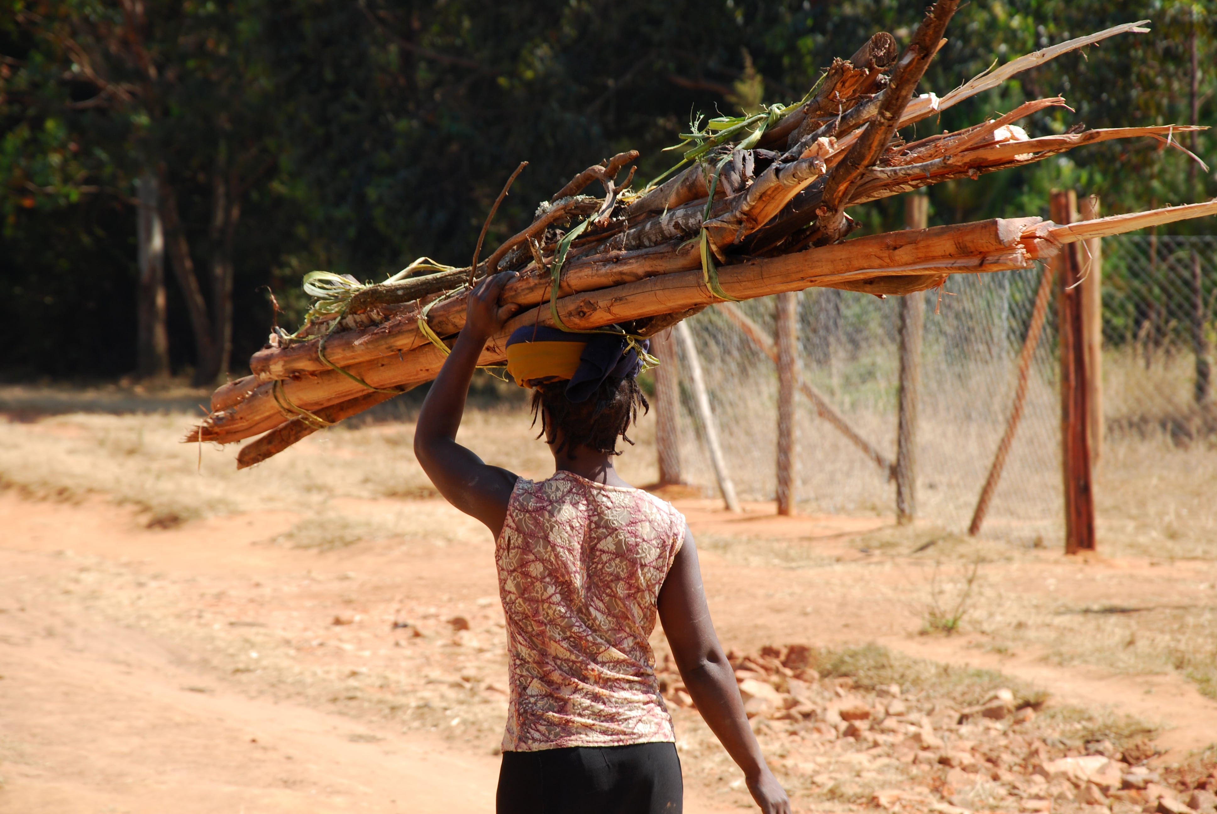 DGB-Nature-Conversation-Projects-Kenya-Reforestation-4