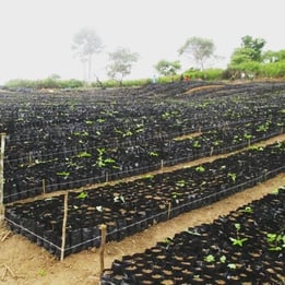 DGB-Project-Stories-Kenya-1
