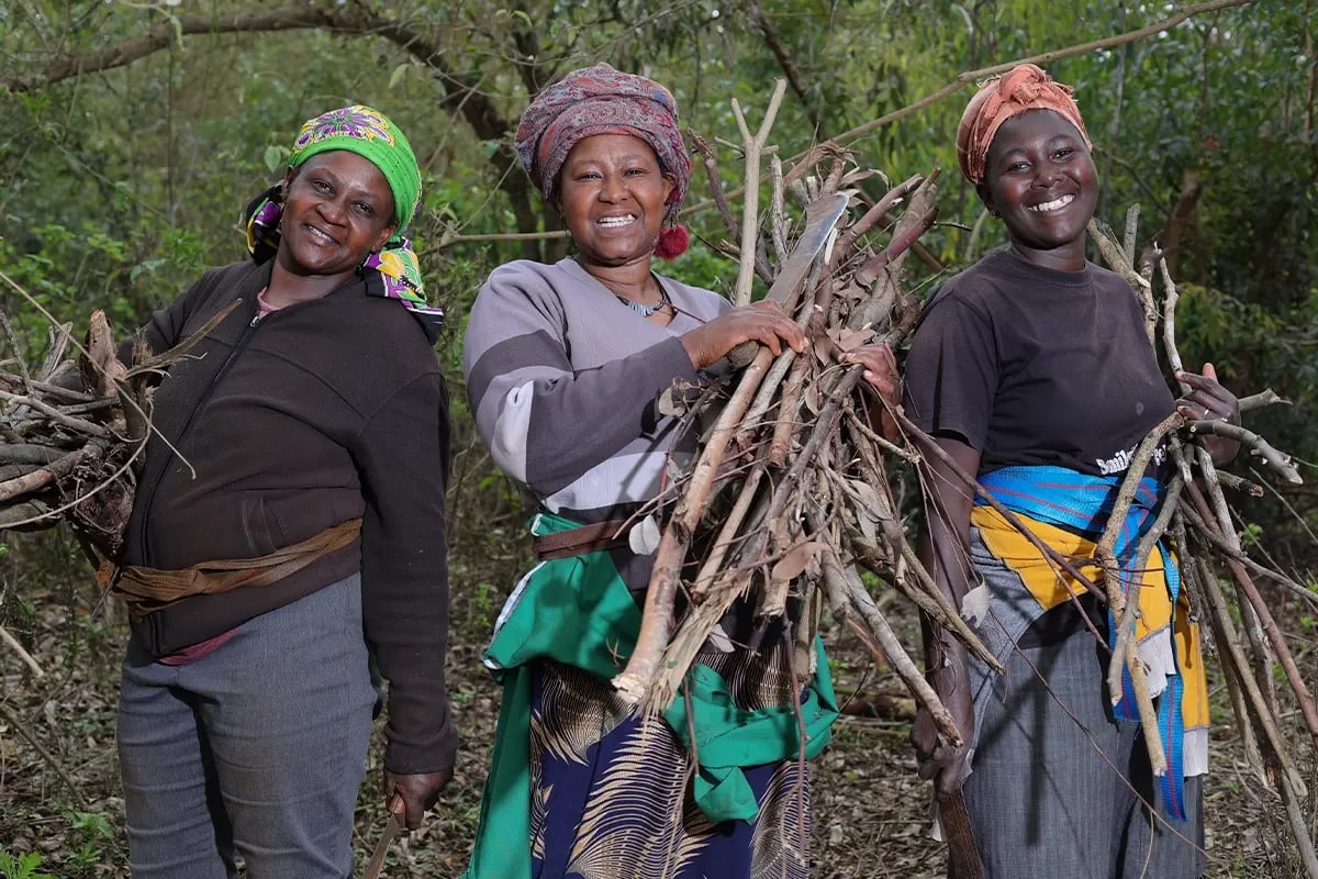 DGBs cookstove projects, How they truly make a difference_Three local women gathering dry wood in a forest_visual 3