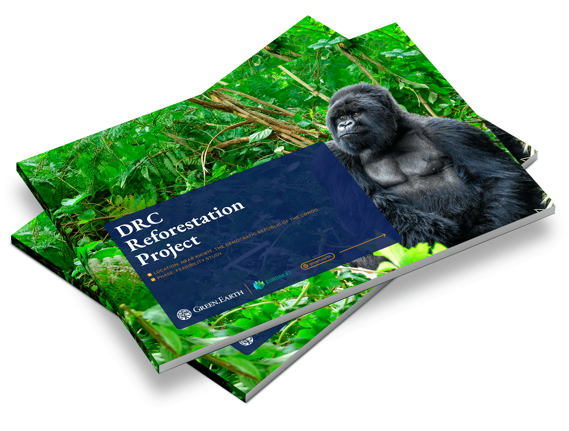 DRC (1)