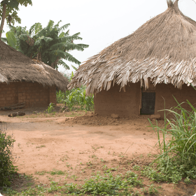 DRC Save the Forest Project_gallery 1-min