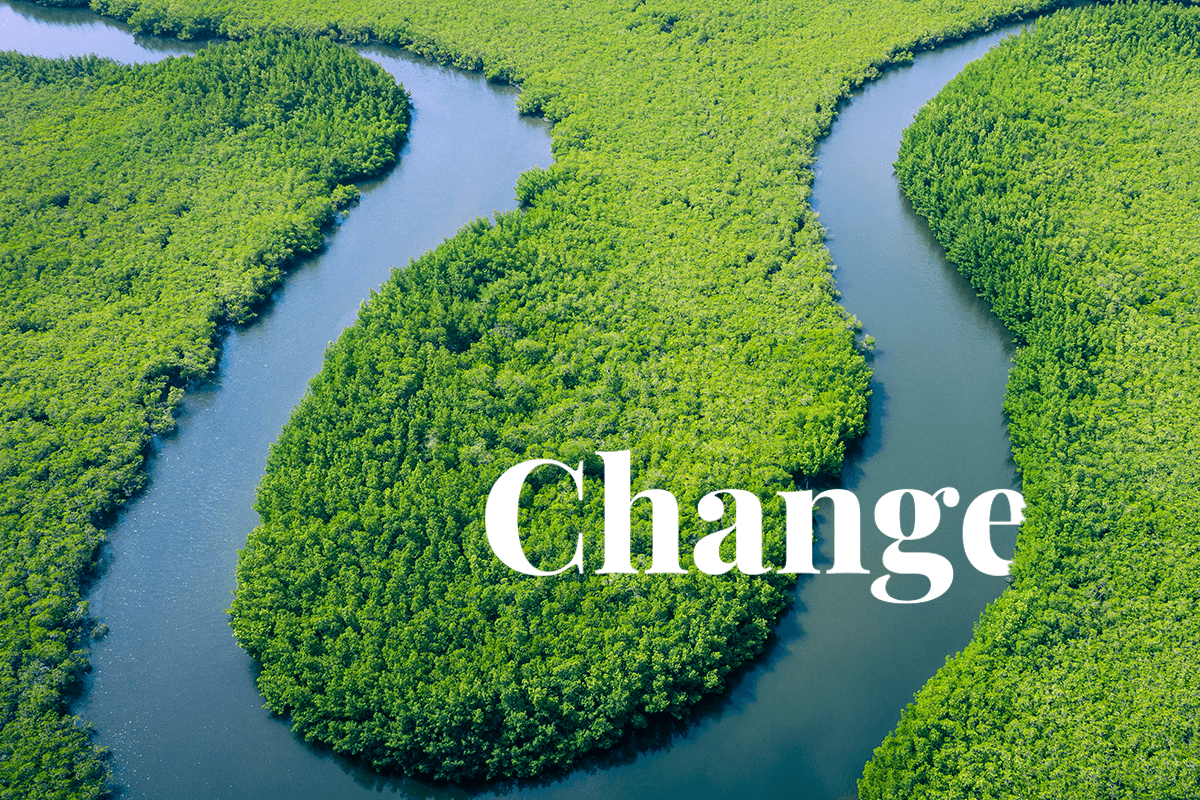Deforestation in the Brazilian Amazon_rainforest_visual 1
