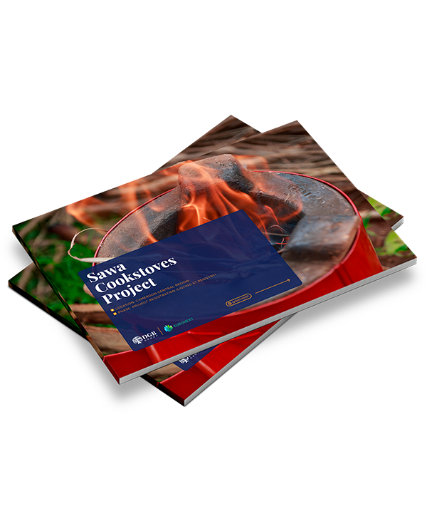 EN PIN Cameroon Cookstoves_mock up