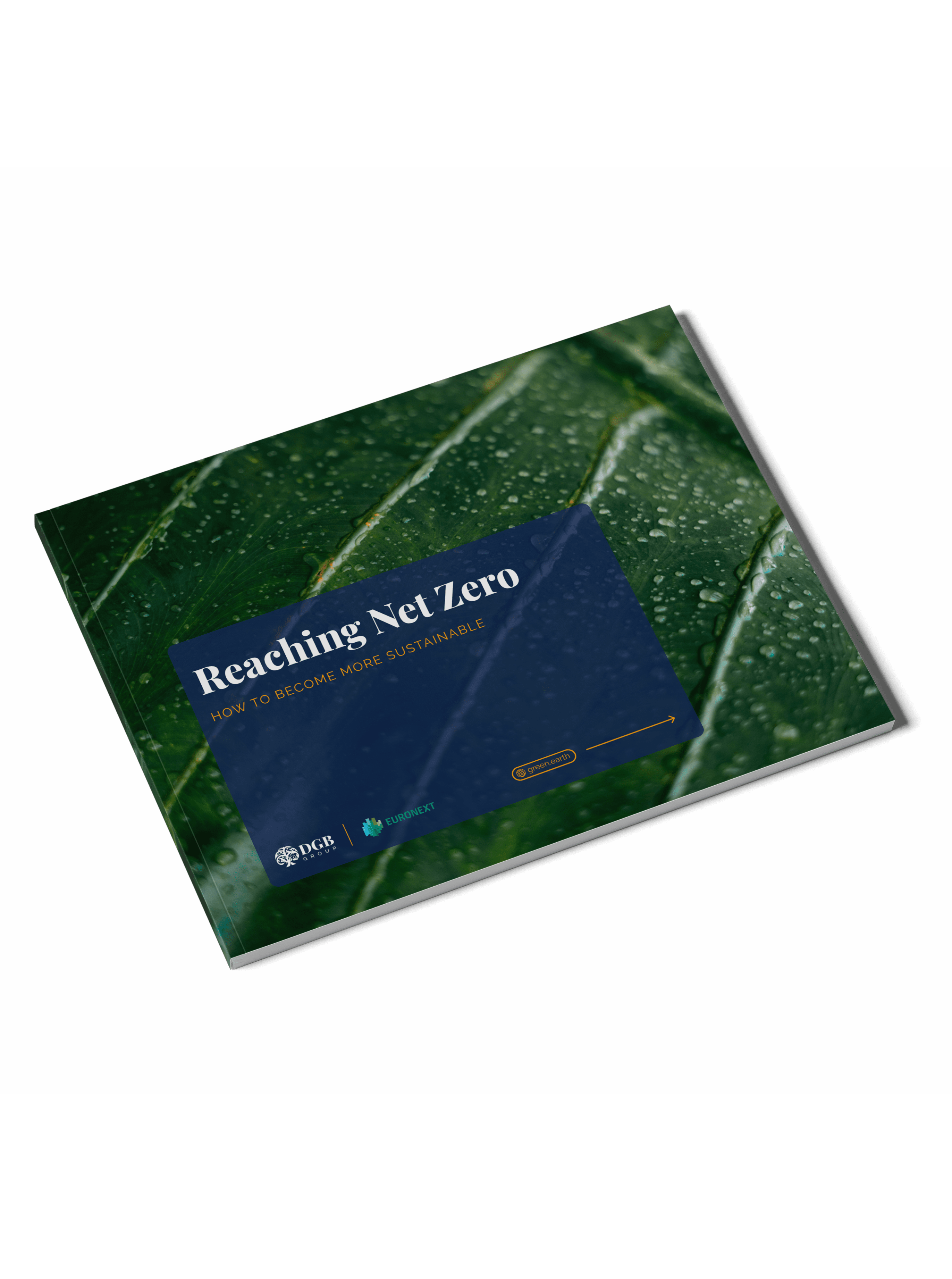 EN Reaching Net Zero