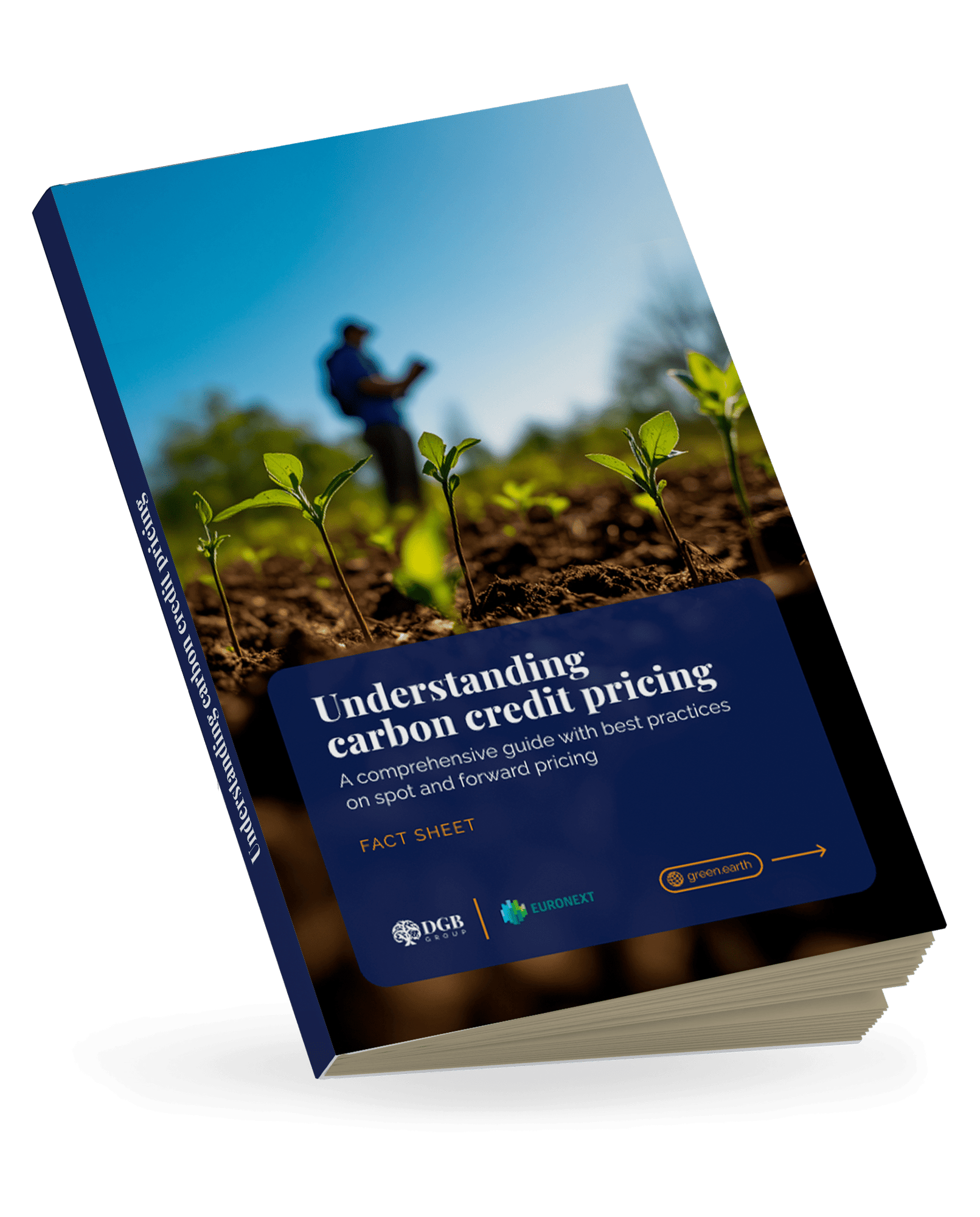 EN Understanding carbon credit pricing (2)