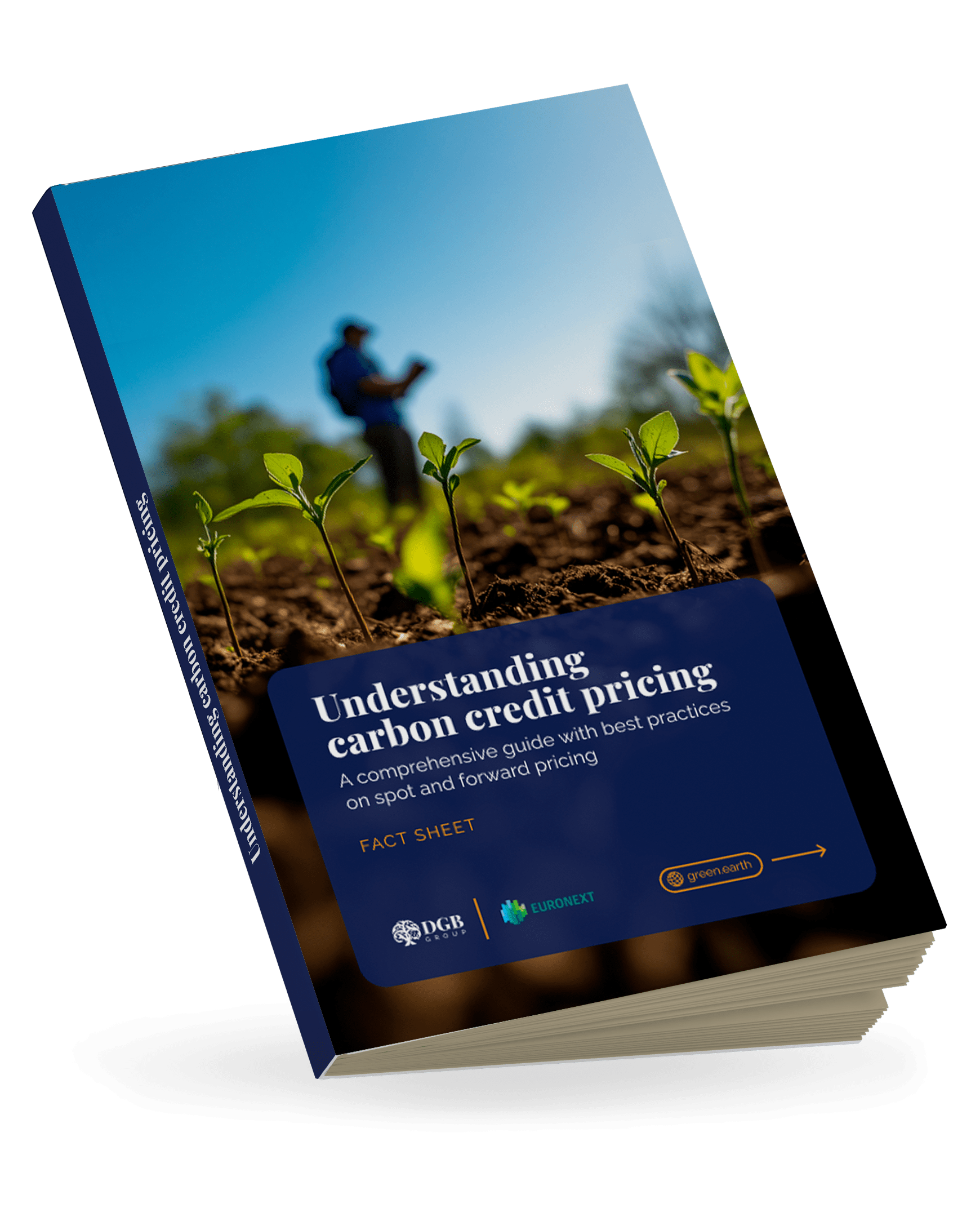 EN Understanding carbon credit pricing (2)