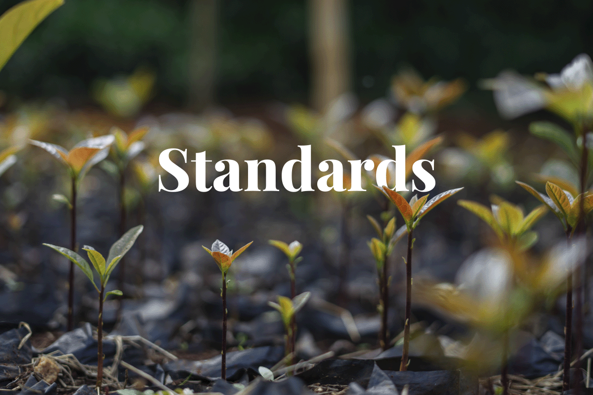 EU Commission adopts new reporting standards for corporate sustainability_view on a tree nursery as a part of the Hongera Reforestation Project_visual 1