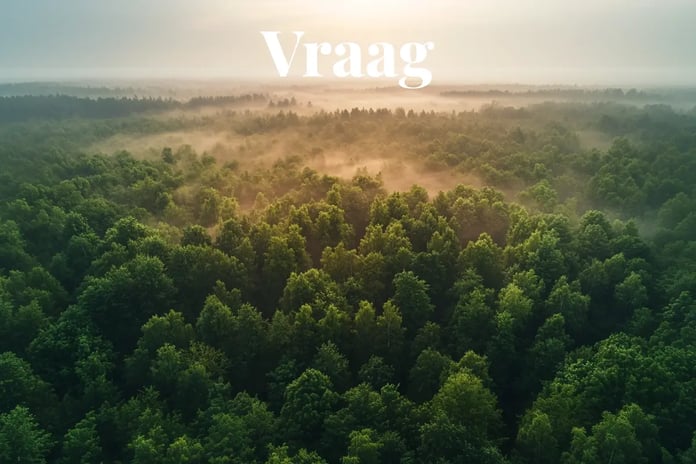 EU’s 2040 plan could make it the largest buyer of UN carbon credits_visual 1_NL