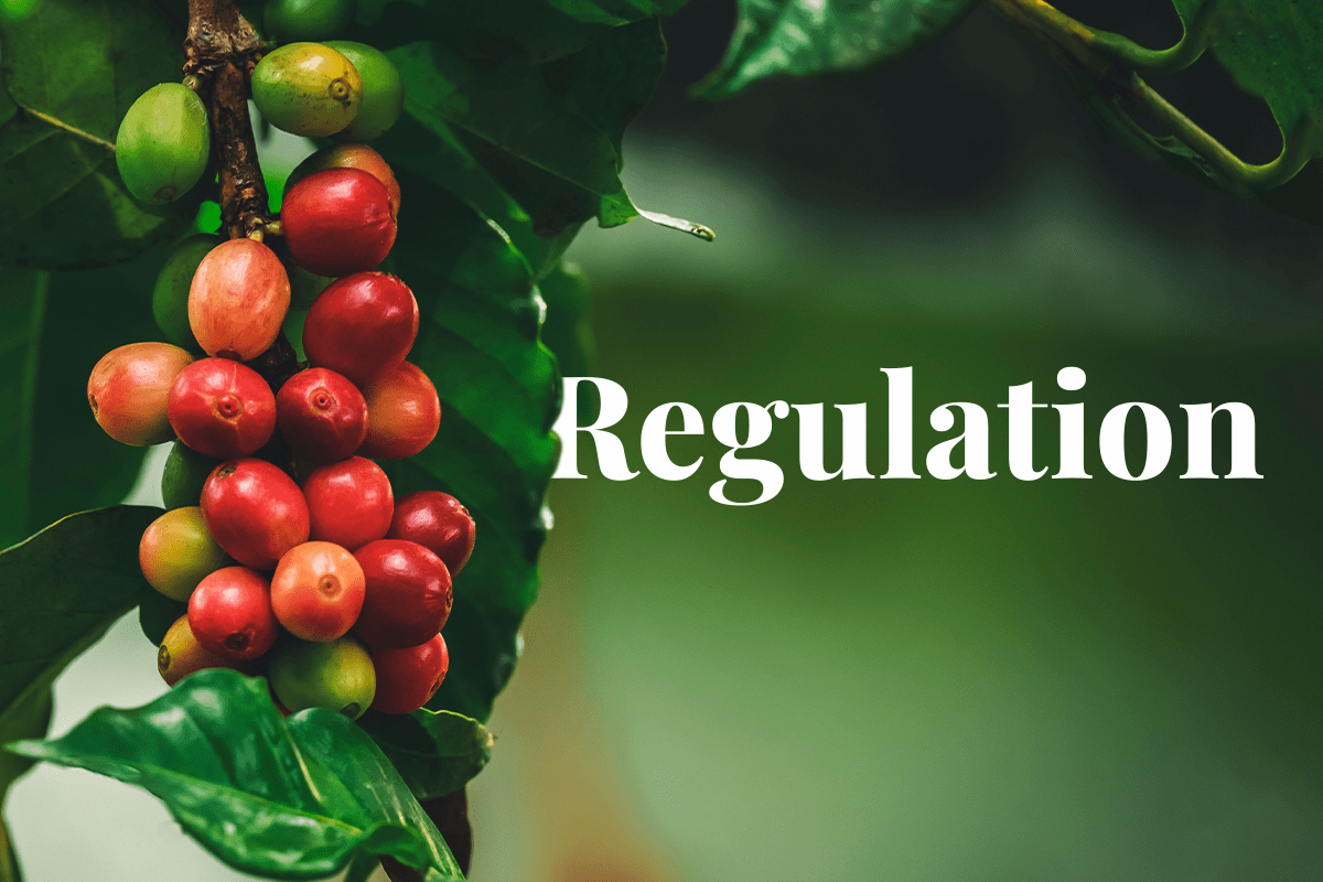 EUs Deforestation Regulation  Challenges and Opportunities for Food Companies_visual 1