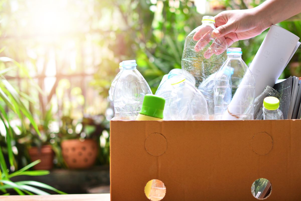 Eco-friendly alternatives to single-use plastics