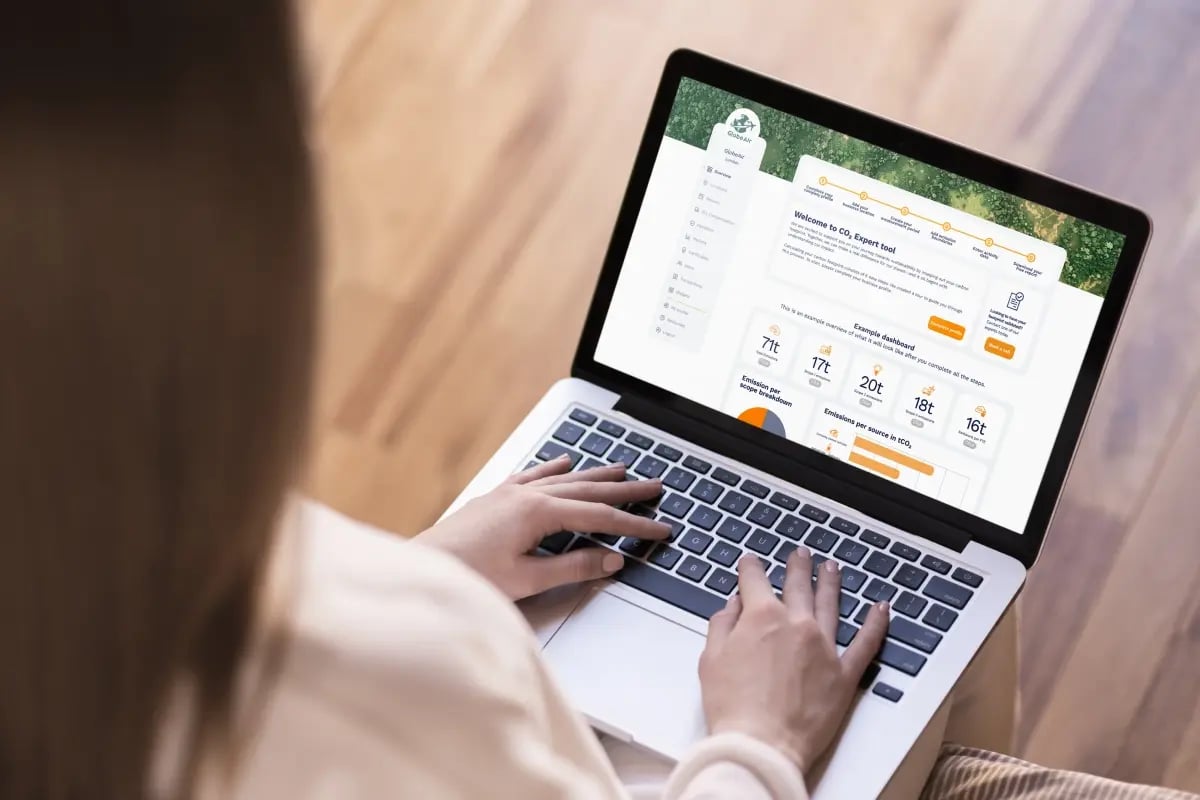 Emissions accounting without an ESG team_ achieving the best of both worlds for SMEs_visual 4