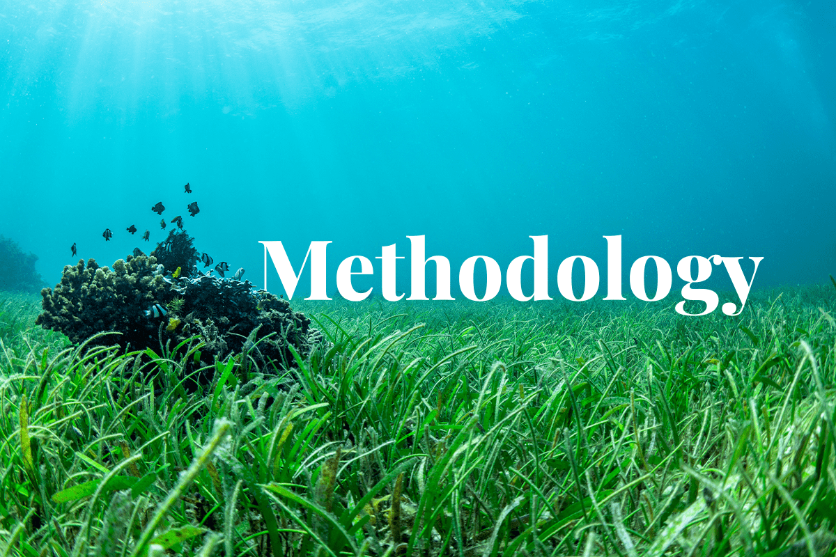 Europe develops first carbon credit accounting methodology for protecting seagrass beds_visual 1
