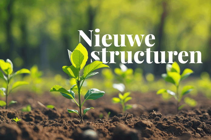 Exploring innovative structures for green bonds_visual 1_NL (1)