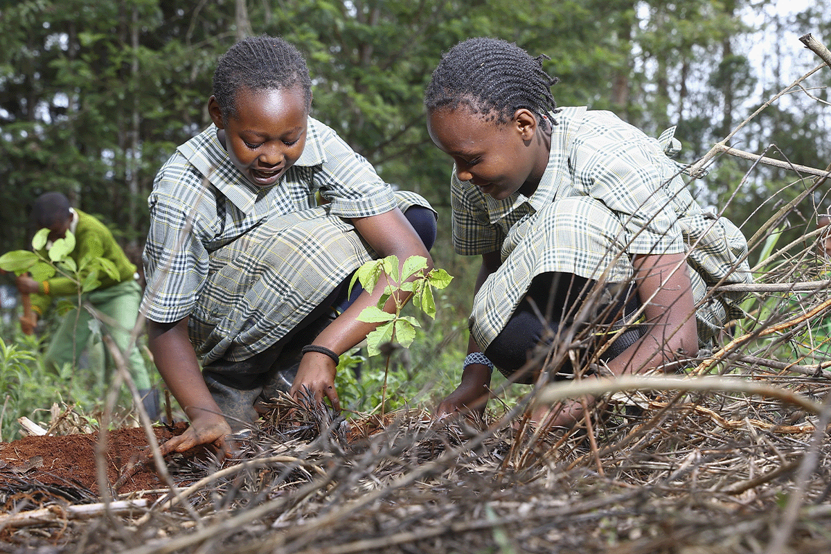 Exploring key carbon market concepts_Pupils planting seedlings in  school in Kenya_visual 5