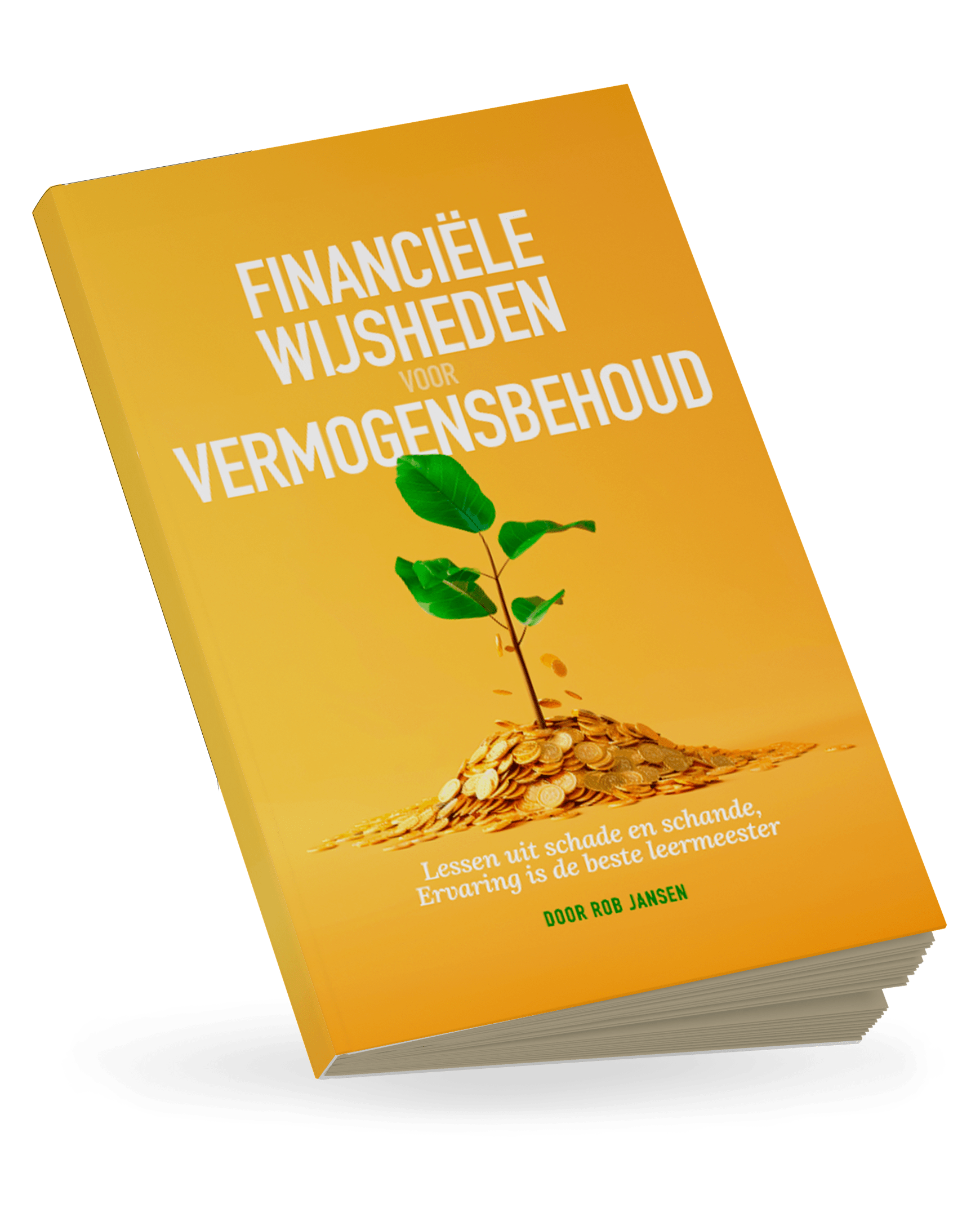 Financiële Wijsheden voor Vermogensbehoud_dgb ebook_mockup