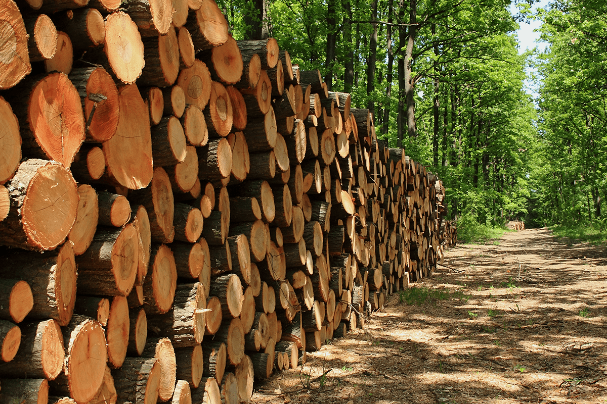 Forest accounting What is it, and what are the methods-1