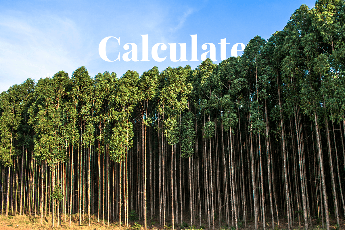 Forest accounting What is it, and what are the methods