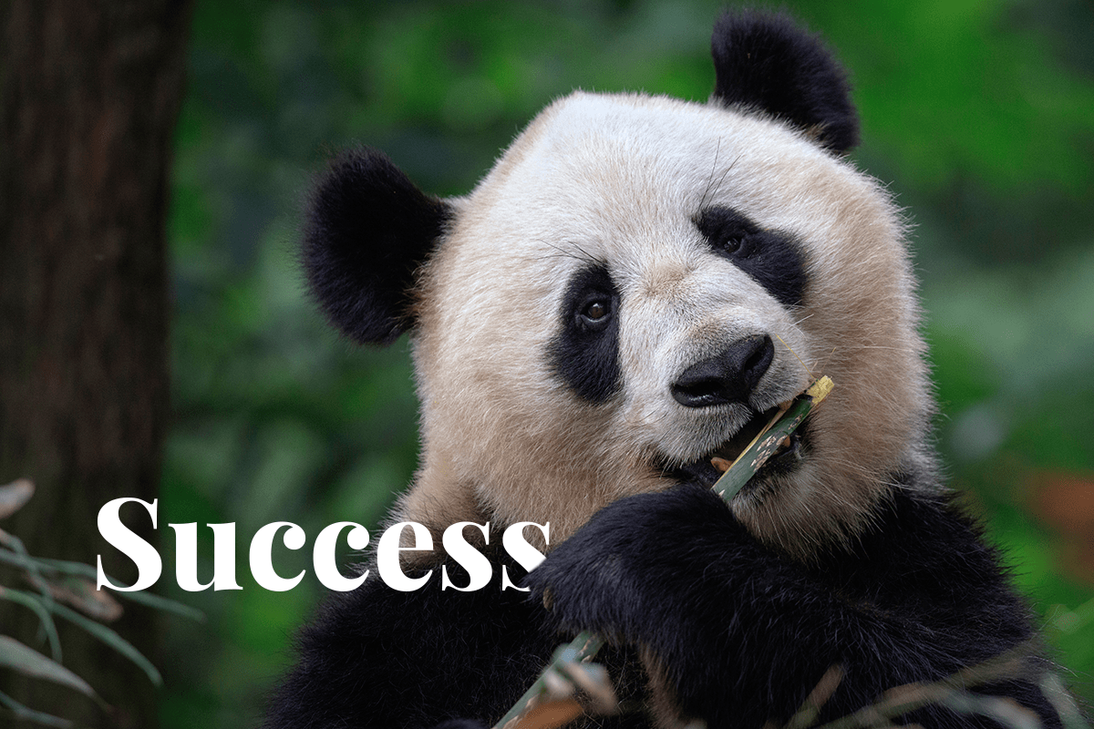 From the Brink of Extinction_ Four Endangered Species That Made a Comeback - Endangered species + vital habitats pillar_visual 1