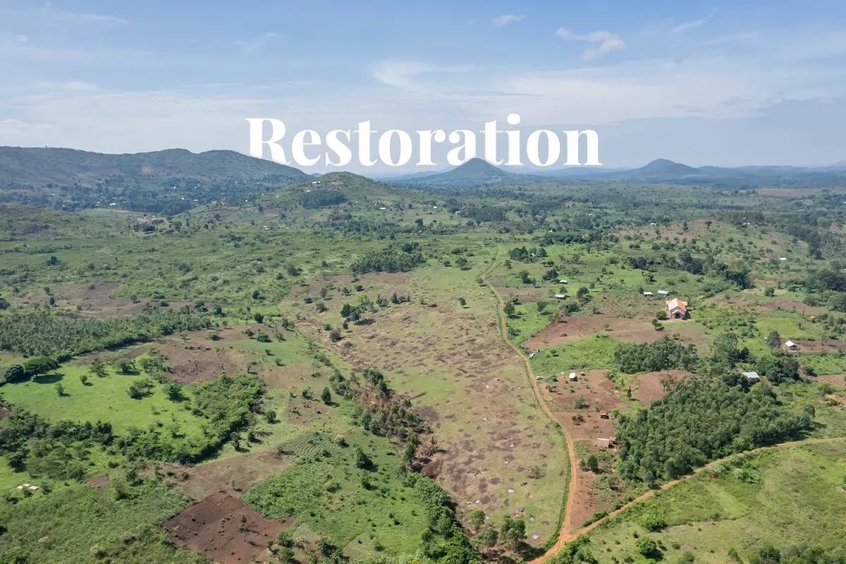 From the ground up to space, seeing DGB’s impact in Uganda_Drone photo of forested area in Uganda_visual 1