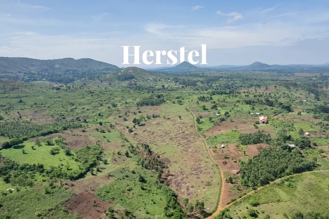 From the ground up to space, seeing DGB’s impact in Uganda_Drone photo of forested area in Uganda_visual 1_NL-1