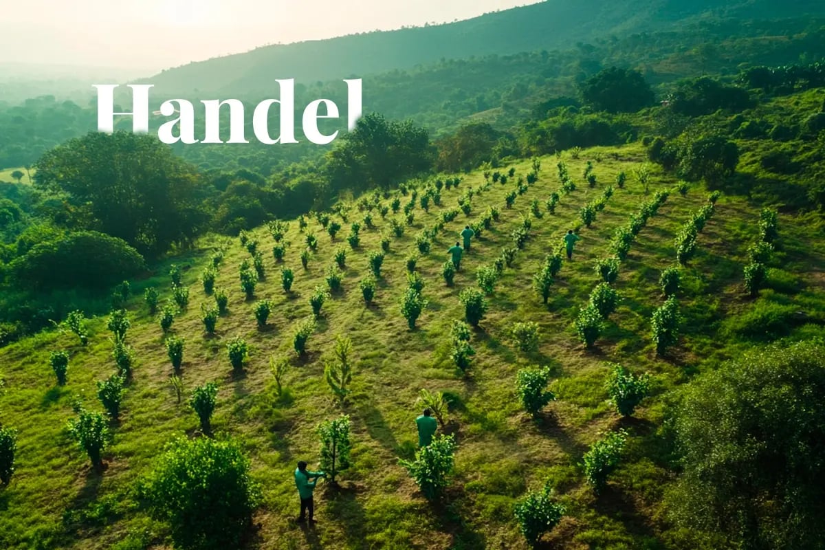 Ghana advances carbon credit sales under Article 6 framework_Aerial view of reforestation efforts in Ghana_visual 1_NL