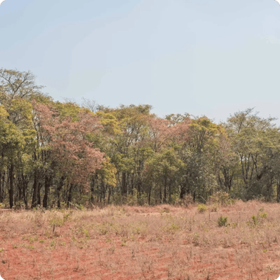 Green Earth Sauki Cookstove Project_gallery 4