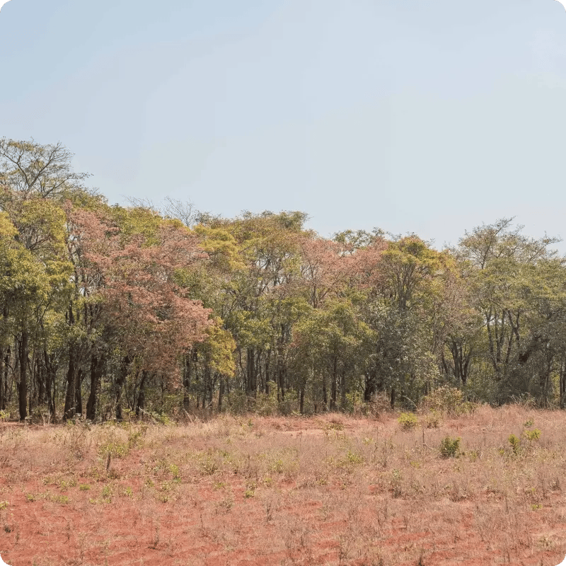 Green Earth Sauki Cookstove Project_gallery 4
