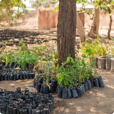 Green Earth Sauki Cookstove Project_gallery 6