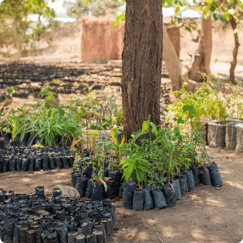 Green Earth Sauki Cookstove Project_gallery 6