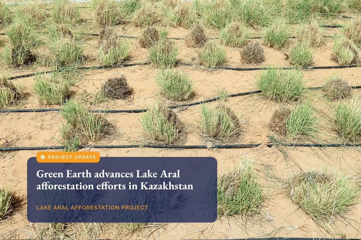 Green Earth advances Lake Aral afforestation efforts in Kazakhstan_visual 1