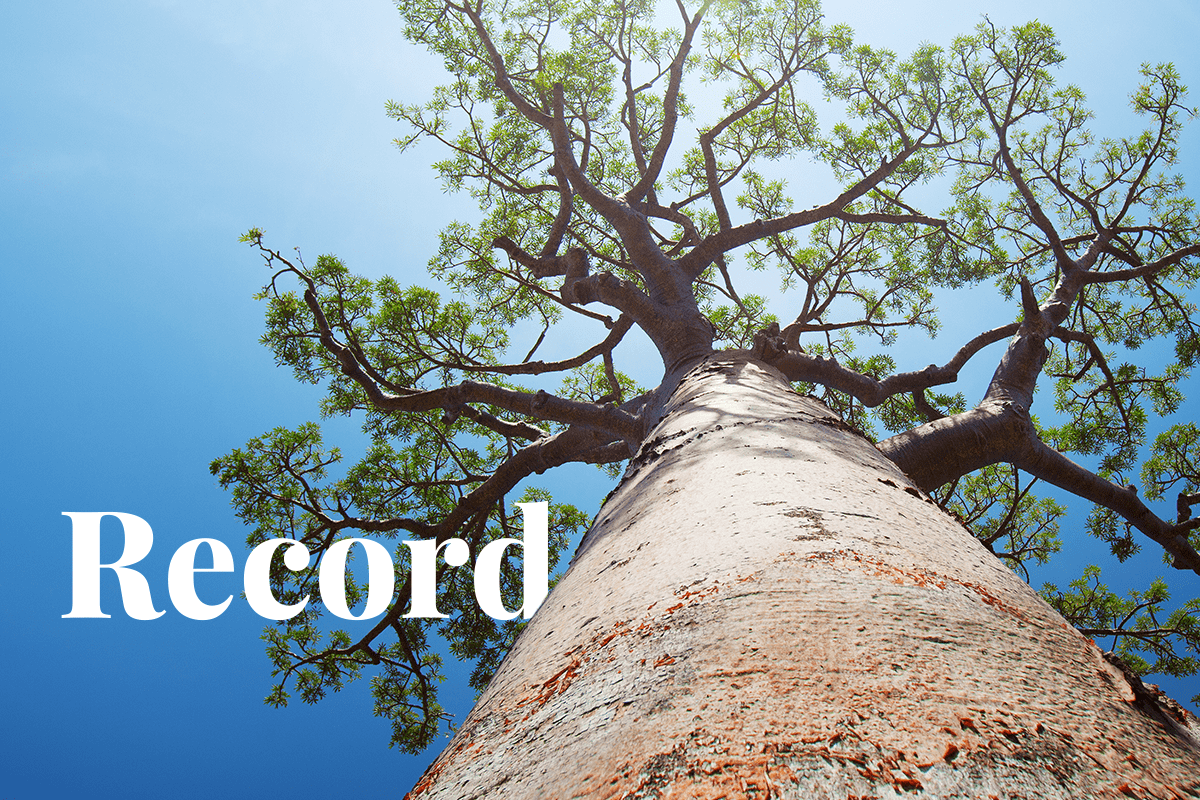 Green bond sales soar to record high despite banking turmoil_visual 1