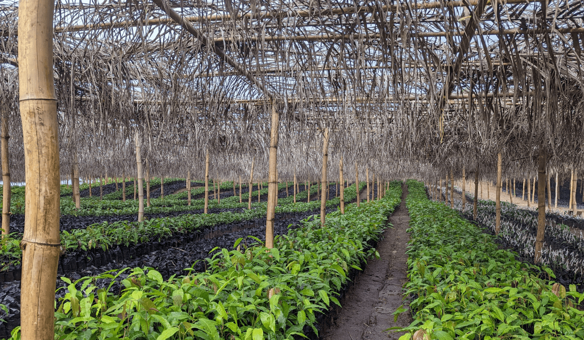 GreenZone Afforestation Project_cover-min-1