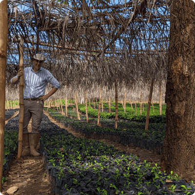 GreenZone Afforestation Project_gallery 10-min