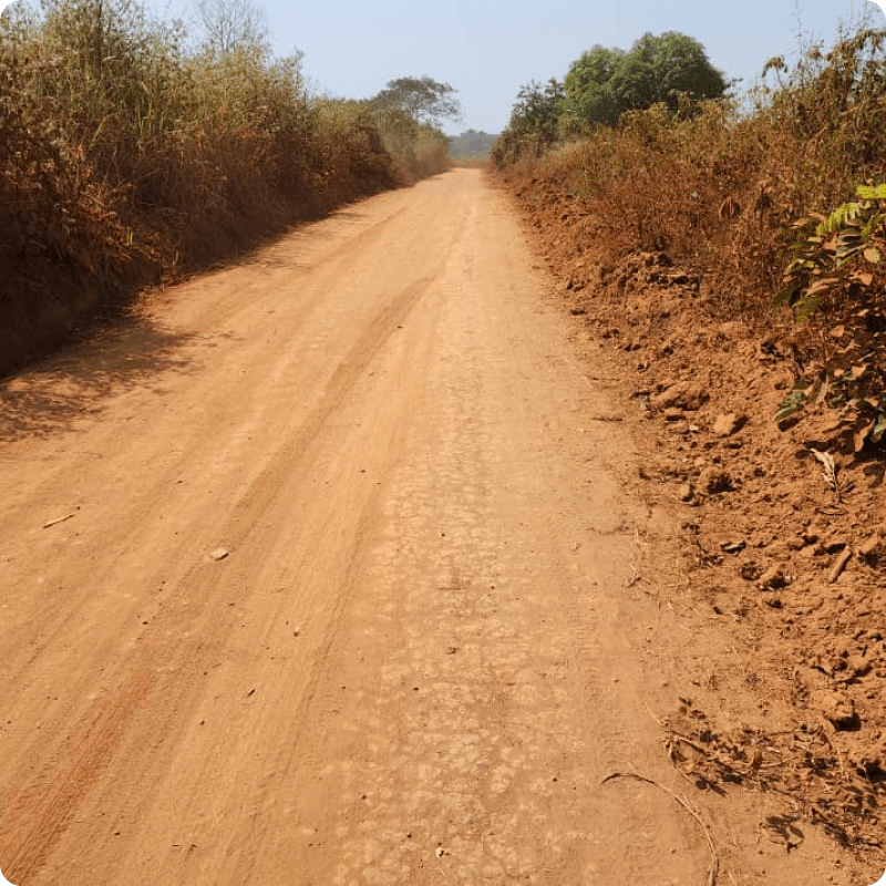 GreenZone Afforestation Project_gallery 2-min