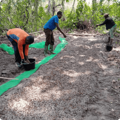 GreenZone Afforestation Project_gallery 7-min