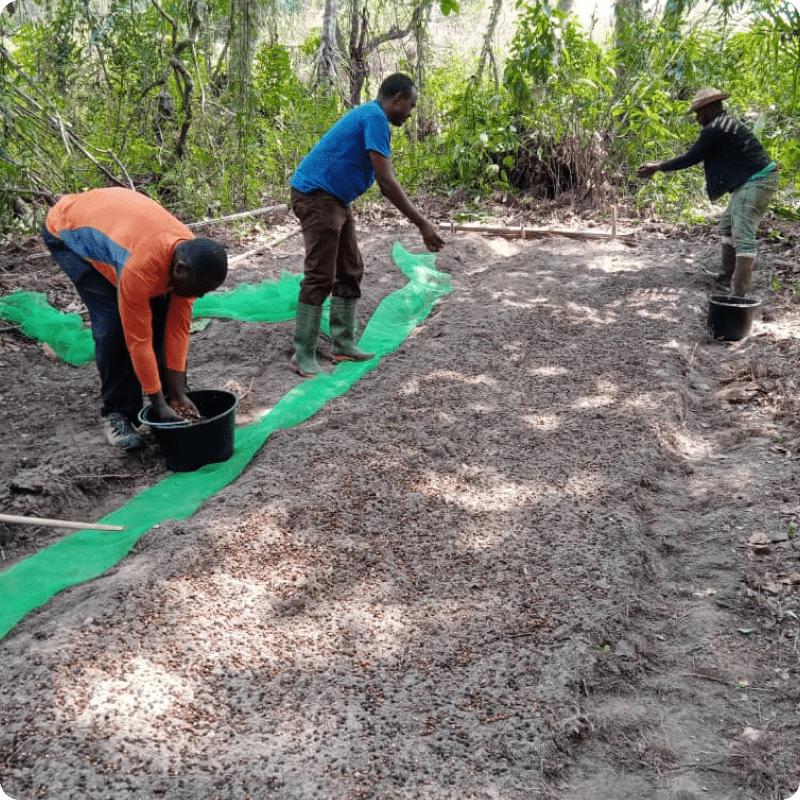 GreenZone Afforestation Project_gallery 7-min