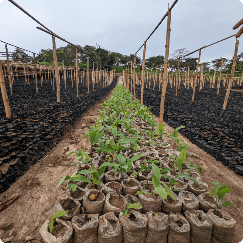 GreenZone Afforestation Project_gallery 9-min