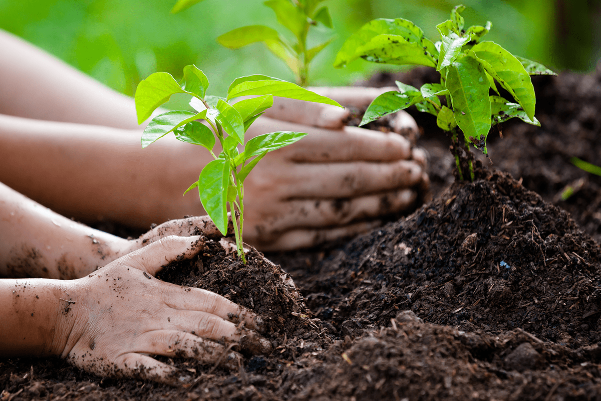 Greener and cleaner_ celebrating Earth Day_visual 3