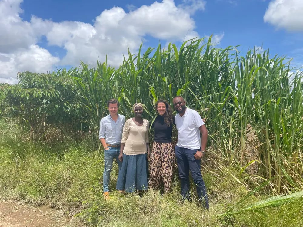 Corekees finances biomass energy project in Kenya