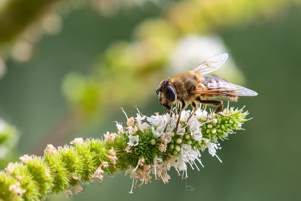 High time to invest in biodiversity