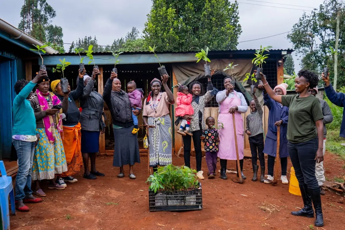 High-quality carbon credits vs regular carbon credits, what sets them apart_Local community participating in a tree seedling distribution_visual 5