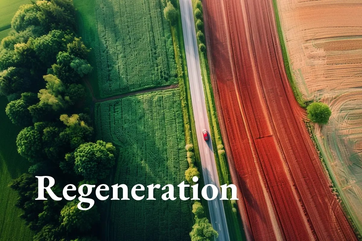 Honda expands its green efforts with new soil carbon deal _visual 1