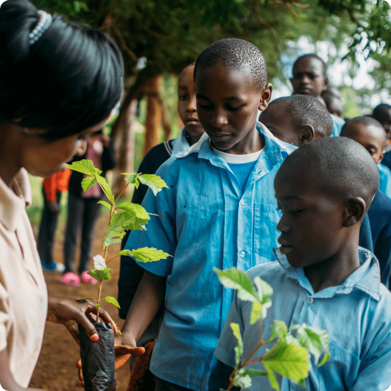 Hongera Reforestation Project_gallery 10-min